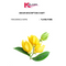 Ylang Pure FO